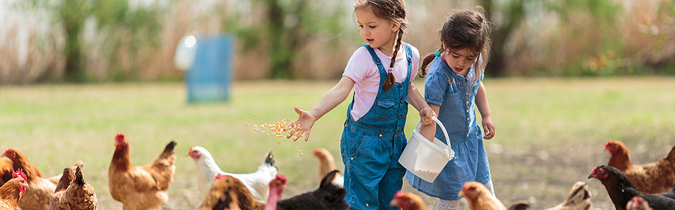 Interessengemeinschaft Lernort Bauernhof – Erlebnishöfe, Erlebnis Bauernhof, Erlebnisbauer, Event, Schule, Schulklasse