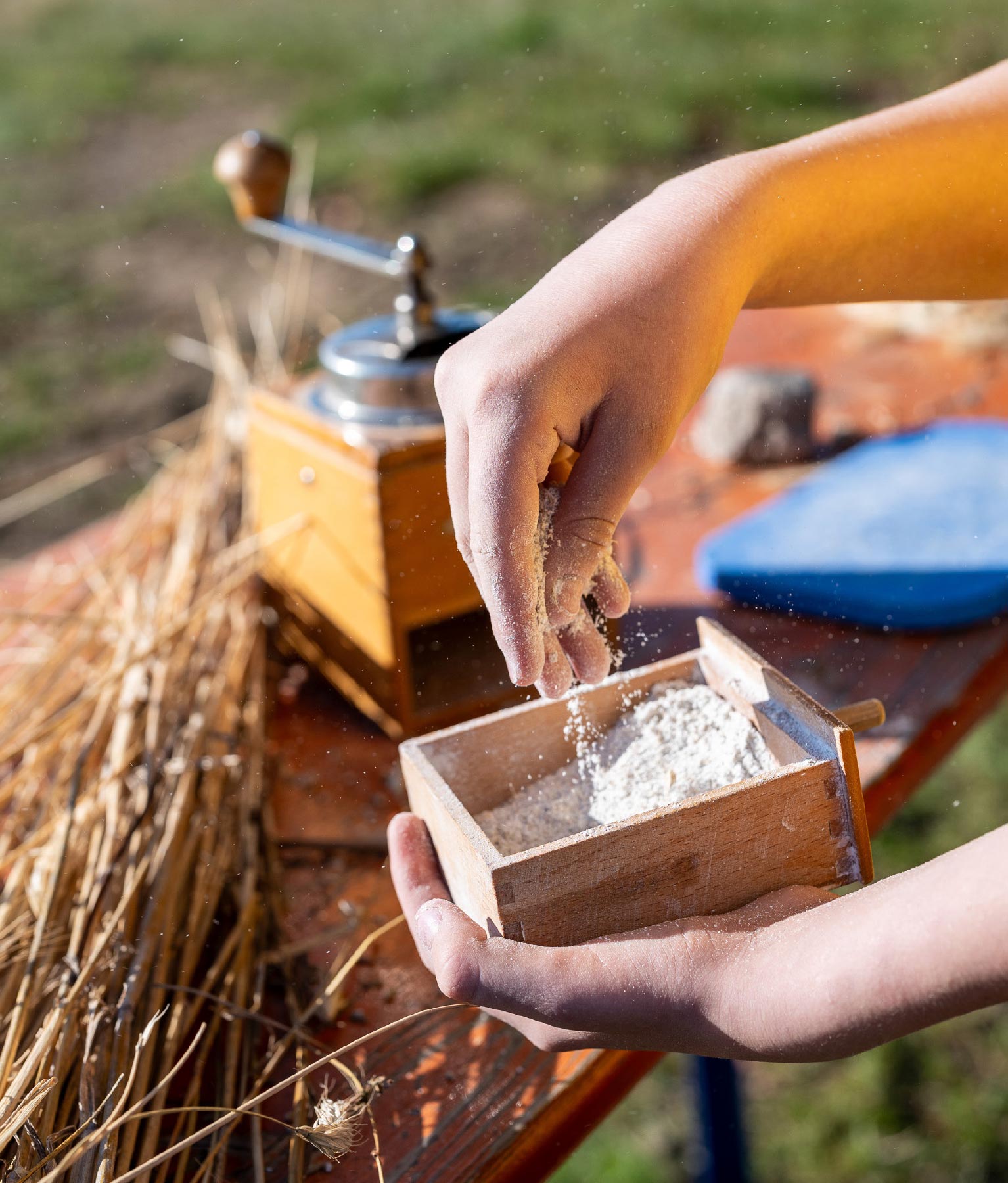 F RDERANTRAG LERNORT BAUERNHOF visual data 8