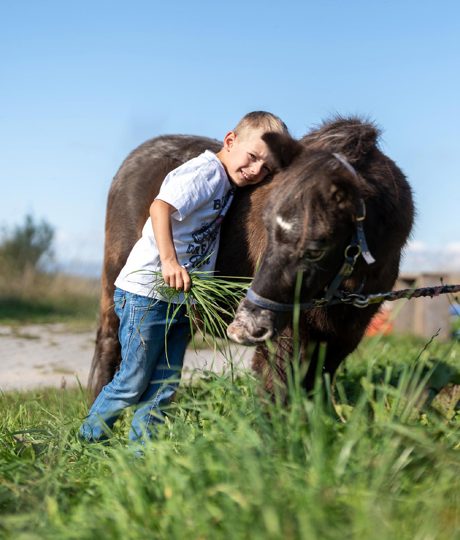 F RDERANTRAG LERNORT BAUERNHOF visual data 6